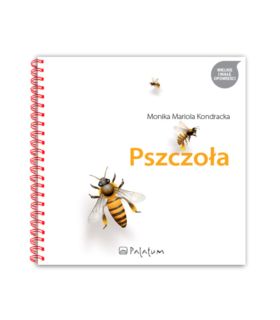 Pszczoła